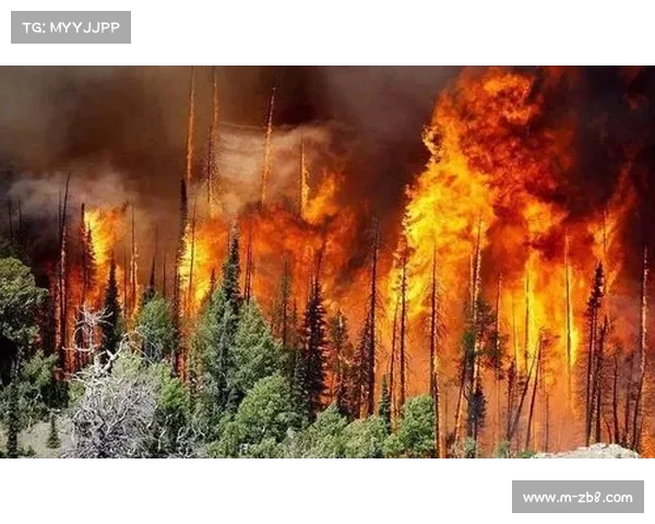 森林队持续低迷形势严峻 保级压力急剧增加引发关注